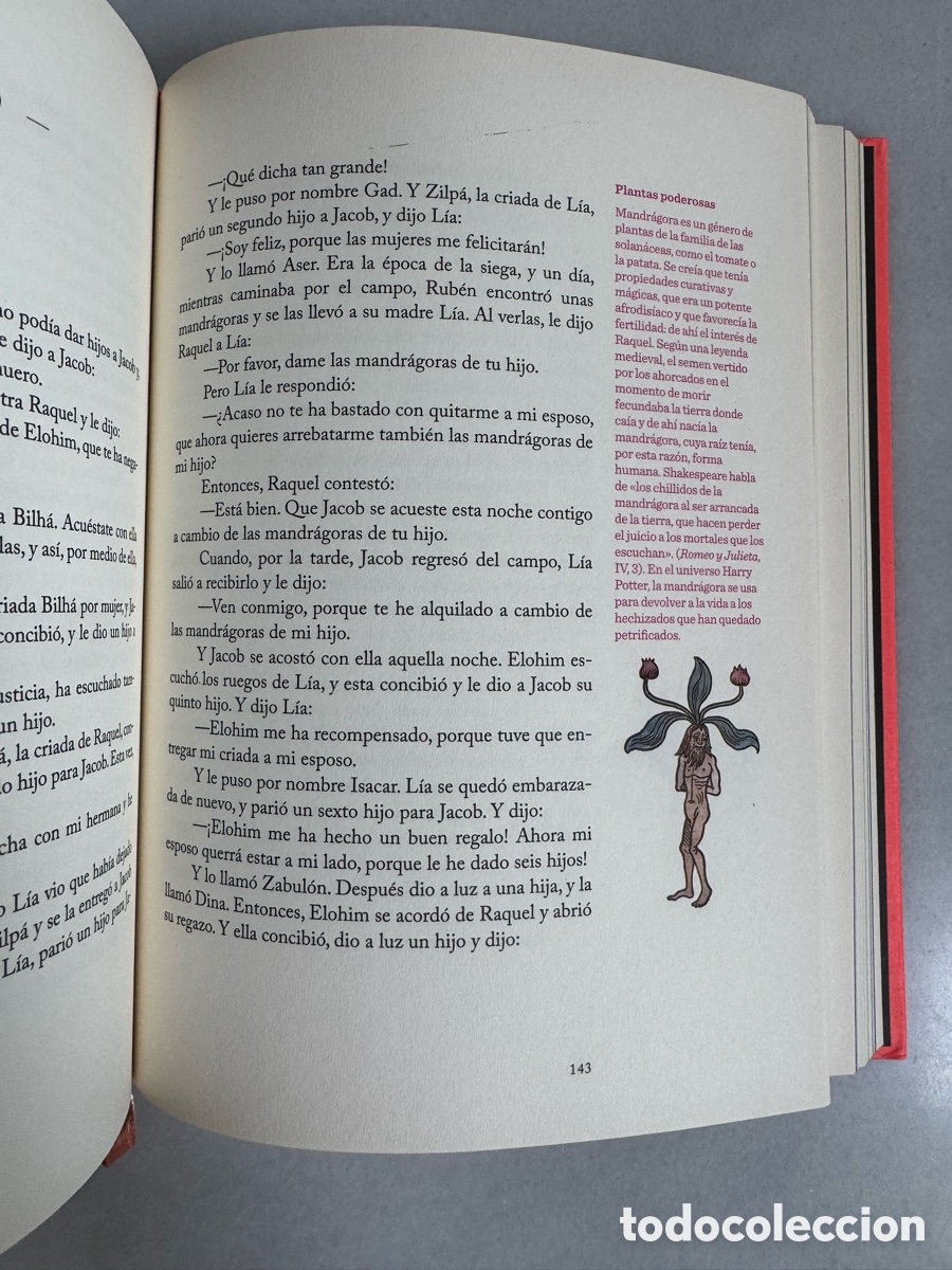 Libros de segunda mano: El libro del G&eacute;nesis - Blackie Books - Foto 6
