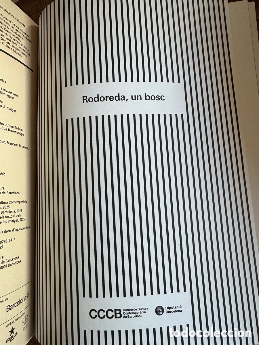 Libros de segunda mano: Rodoreda, un bosc Cat&aacute;logo exposici&oacute;n - Foto 4