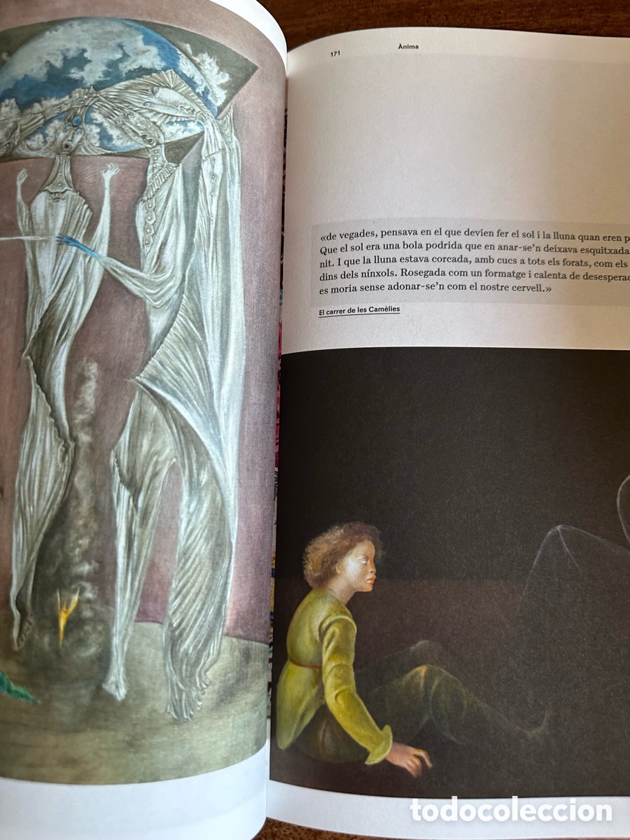 Libros de segunda mano: Rodoreda, un bosc Cat&aacute;logo exposici&oacute;n - Foto 6