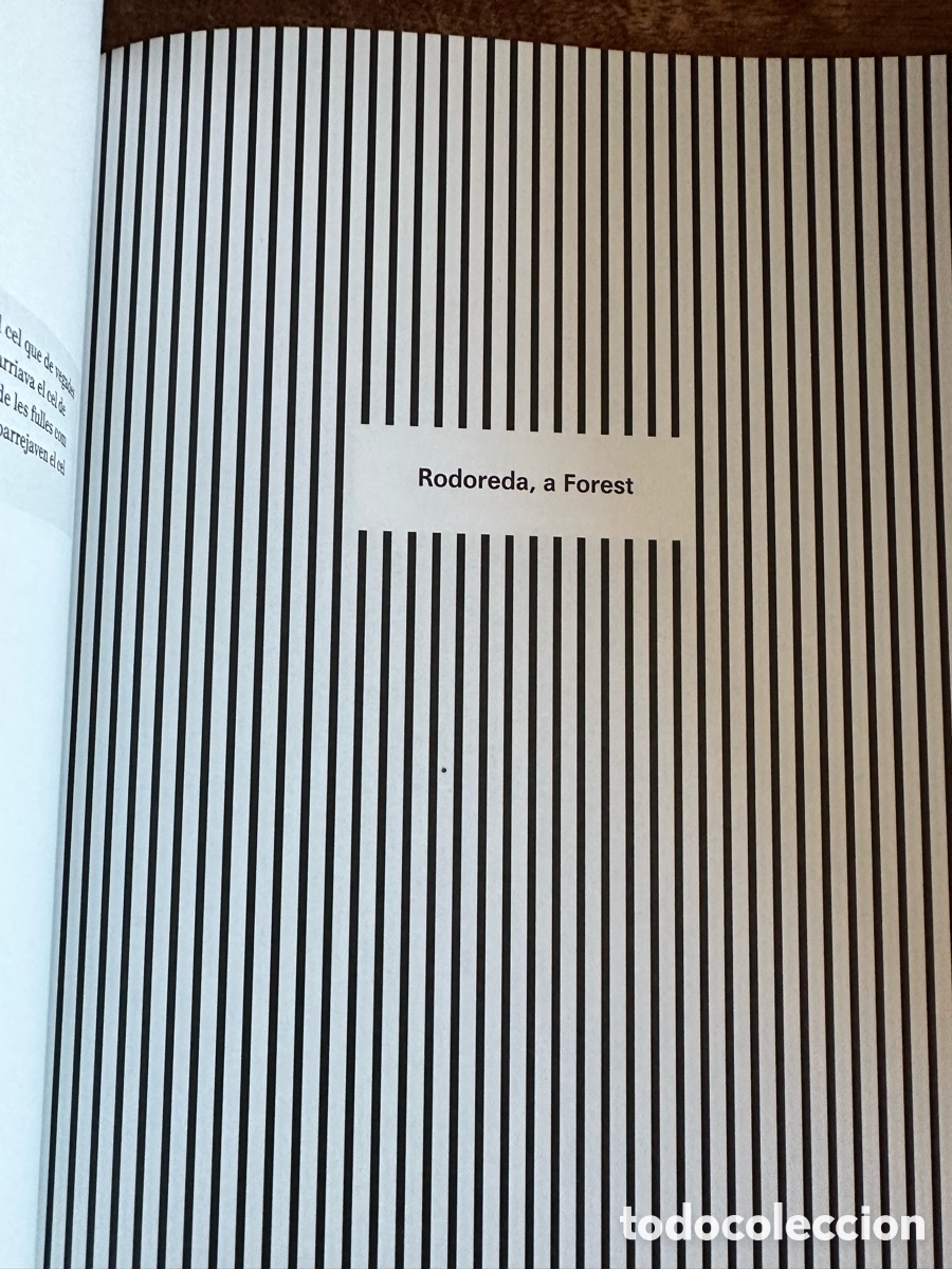 Libros de segunda mano: Rodoreda, un bosc Cat&aacute;logo exposici&oacute;n - Foto 8