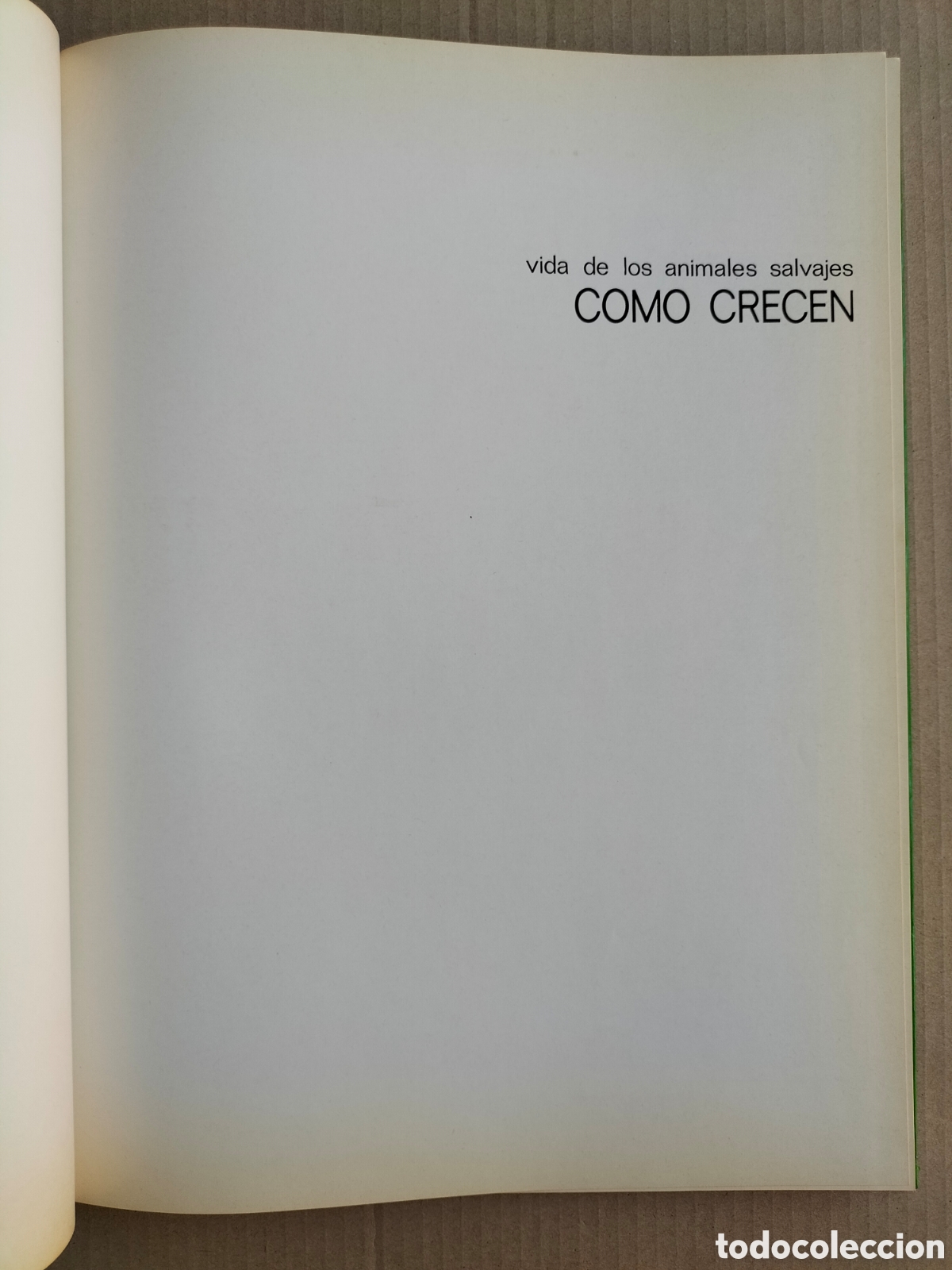 Libros de segunda mano: Vida de los animales salvajes. C&oacute;mo crecen. Salvat de ediciones MG. Libro - Foto 2