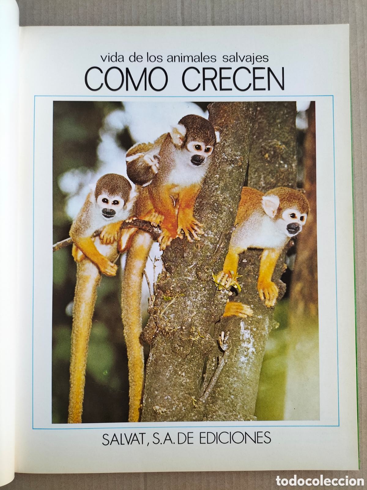 Libros de segunda mano: Vida de los animales salvajes. C&oacute;mo crecen. Salvat de ediciones MG. Libro - Foto 3