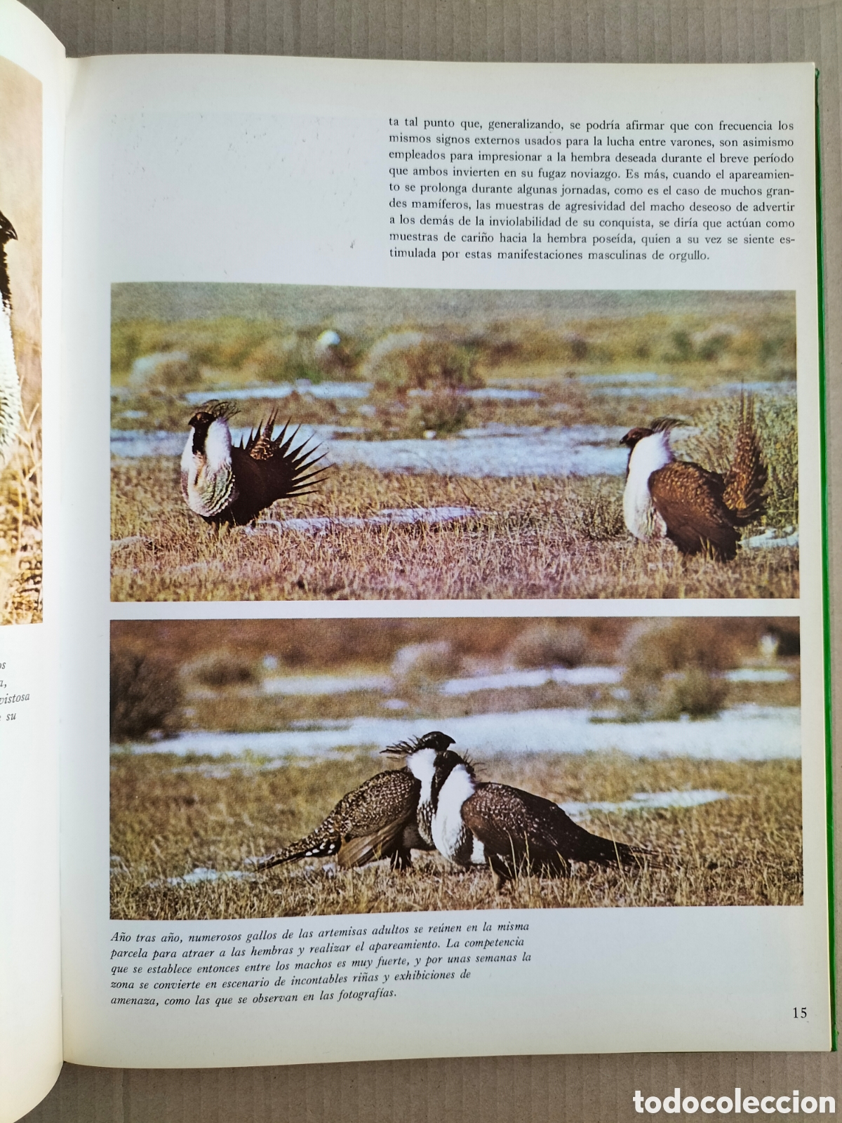 Libros de segunda mano: Vida de los animales salvajes. C&oacute;mo crecen. Salvat de ediciones MG. Libro - Foto 6