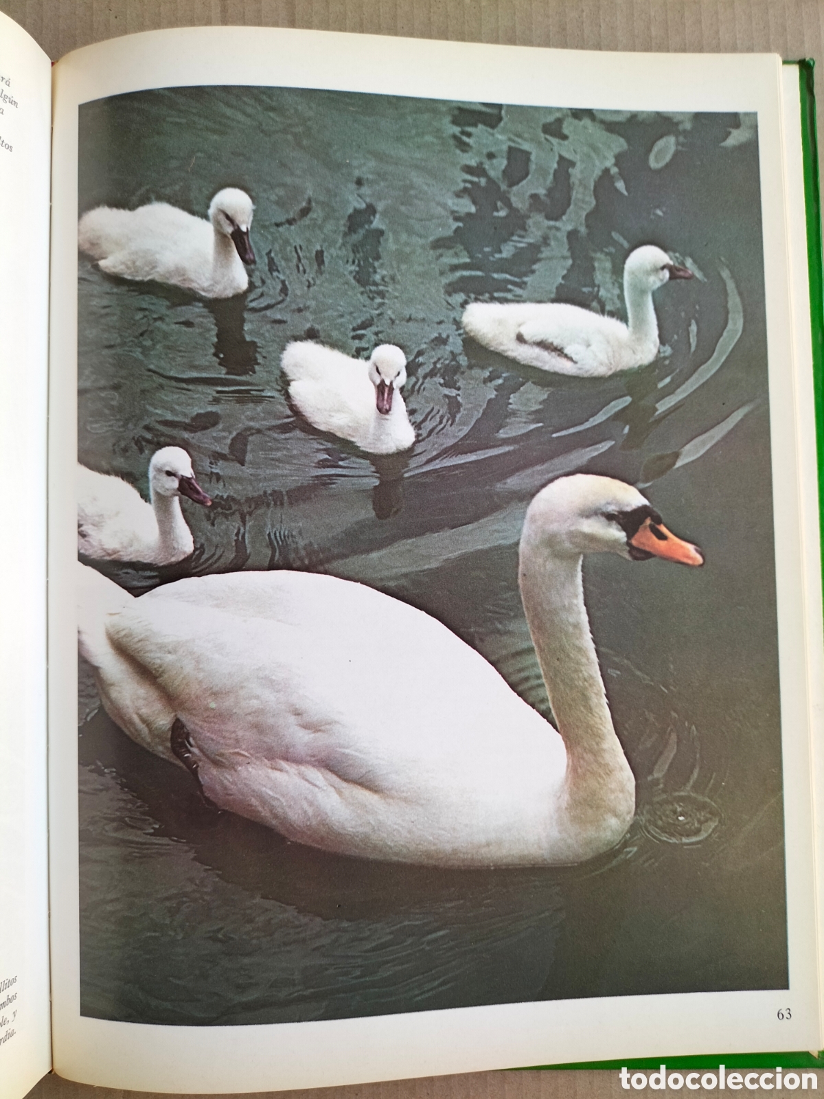 Libros de segunda mano: Vida de los animales salvajes. C&oacute;mo crecen. Salvat de ediciones MG. Libro - Foto 7