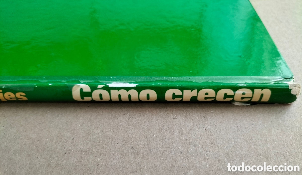Libros de segunda mano: Vida de los animales salvajes. C&oacute;mo crecen. Salvat de ediciones MG. Libro - Foto 13