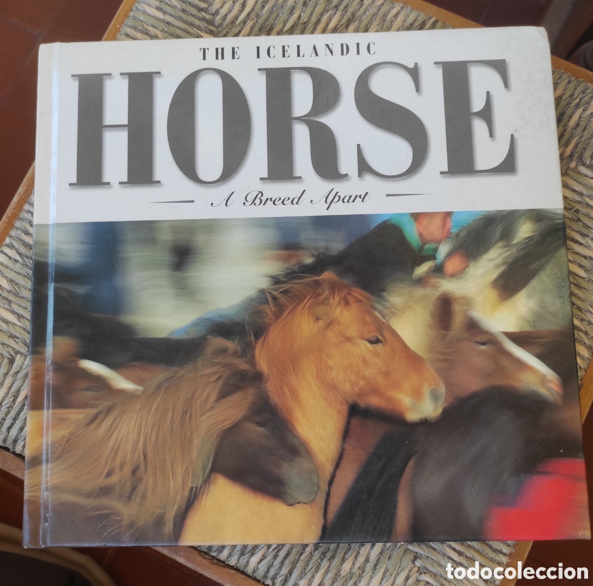 Libros de segunda mano: Icelandic Horse: A Breed Apart. Arnorsson, Kari
