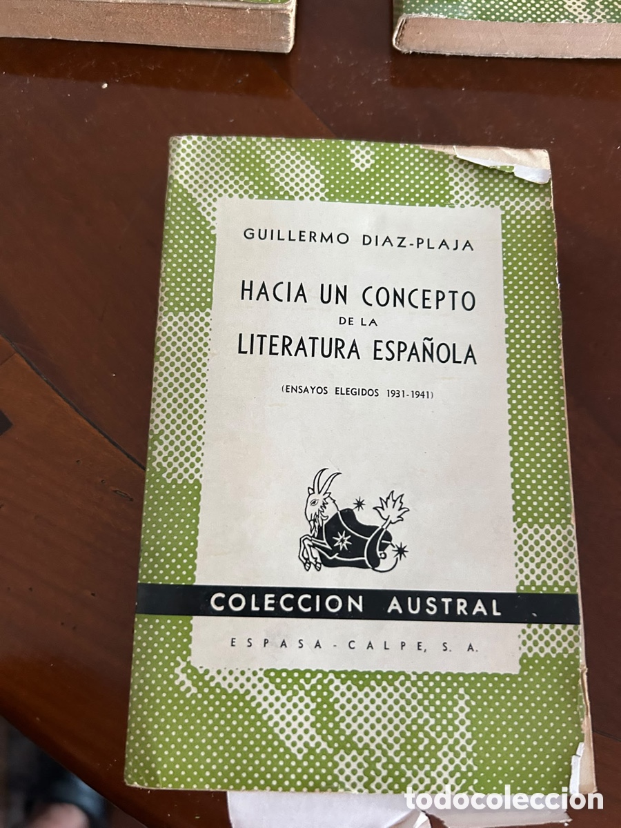 Libros de segunda mano: COLECCI&Oacute;N AUSTRAL. HACIA UN CONCEPTO DE LA LITERATURA ESPA&Ntilde;OLA