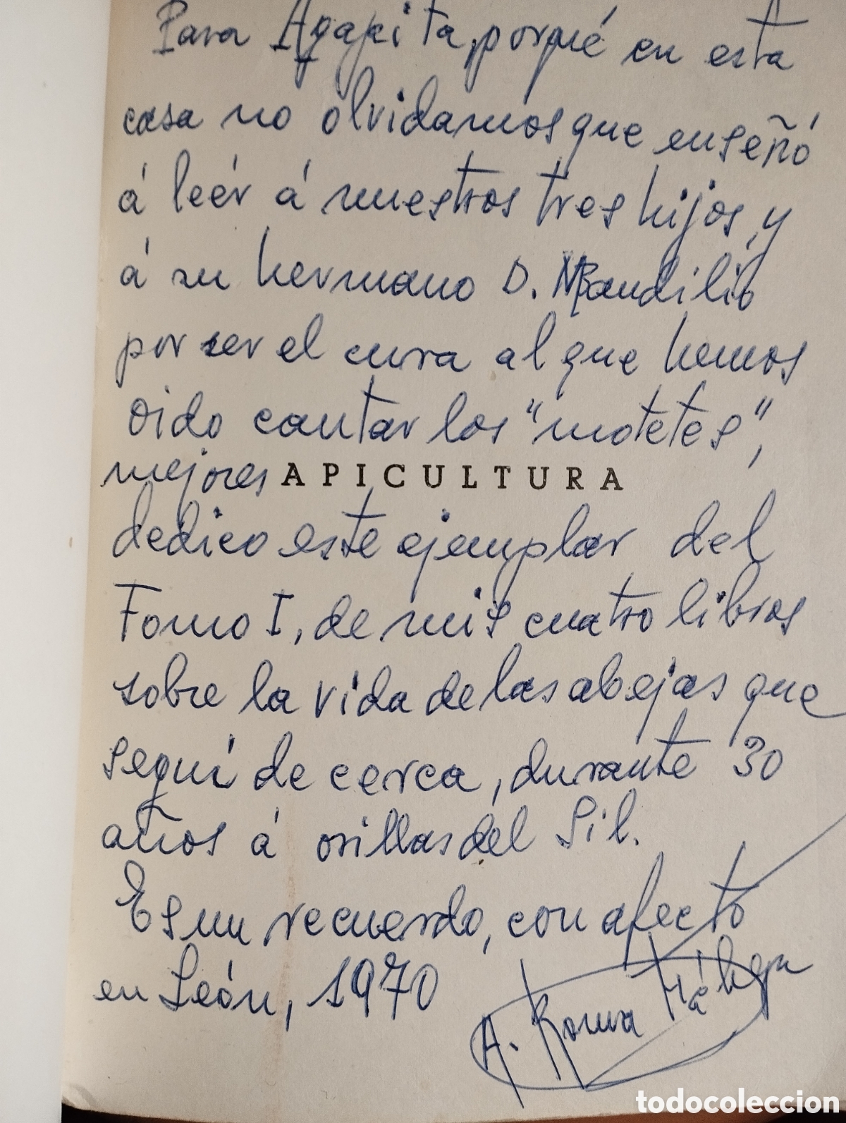 Libros de segunda mano: Libro de 1970 de apicultura - Foto 2