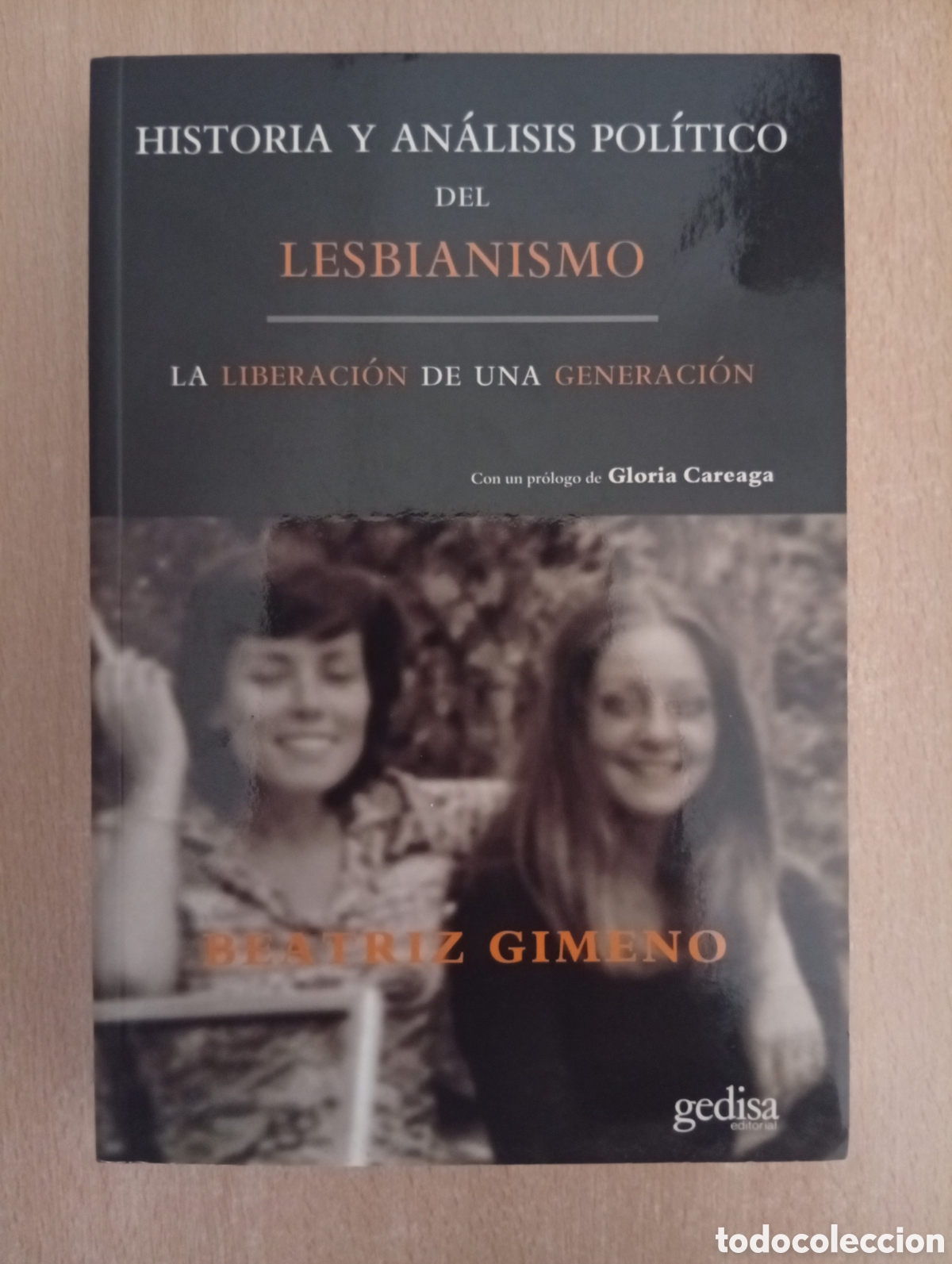 Libros de segunda mano: HISTORIA Y AN&Aacute;LISIS POL&Iacute;TICO DEL LESBIANISMO. Beatr&iacute;z Gimeno