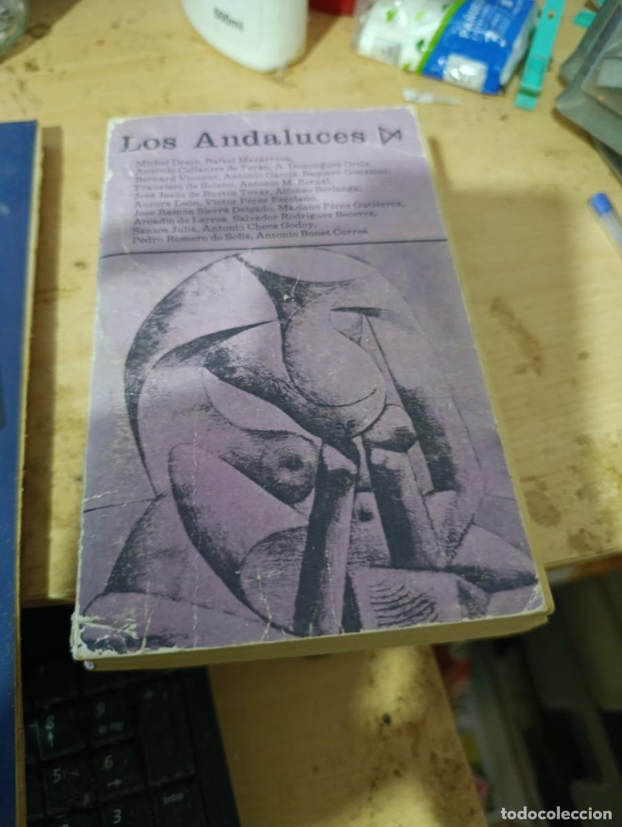 Libros de segunda mano: LOS ANDALUCES. EDICIONES ISTMO. MADRID. EST33B2 - Foto 1