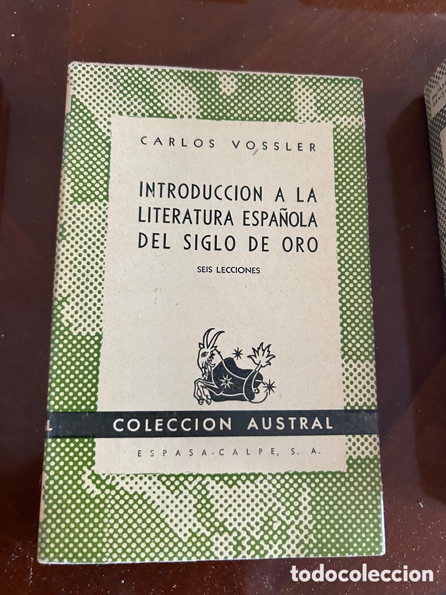 Libros de segunda mano: COLECCI&Oacute;N AUSTRAL. INTRODUCCION A LA LITERATURA ESPA&Ntilde;OLA DEL SIGLO DE ORO