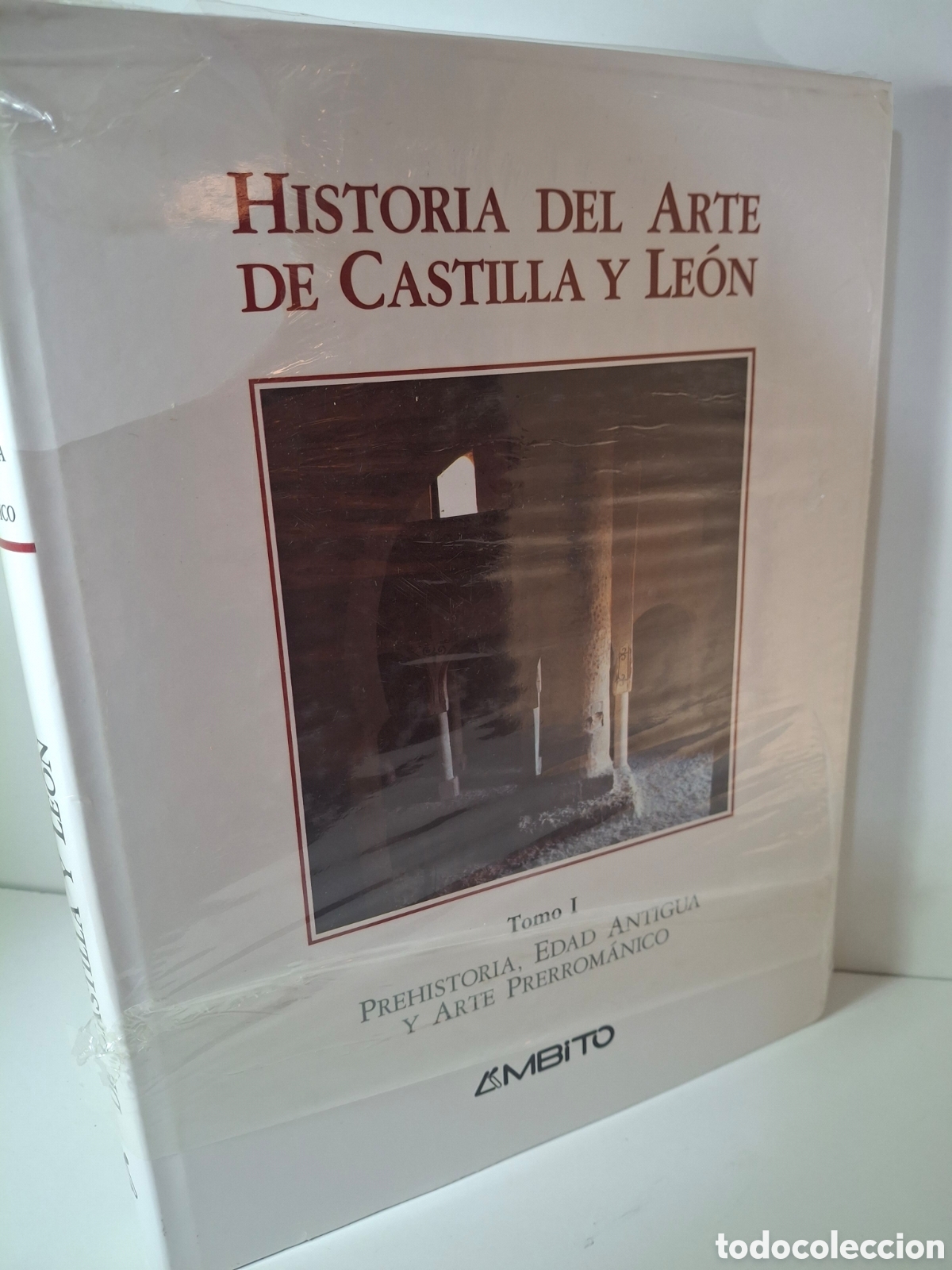 Libros de segunda mano: HISTORIA DEL ARTE DE CASTILLA Y LEON, TOMO I, PREHISTORIA, EDAD ANTIGUA Y ARTE PRERROMANICO, 1994