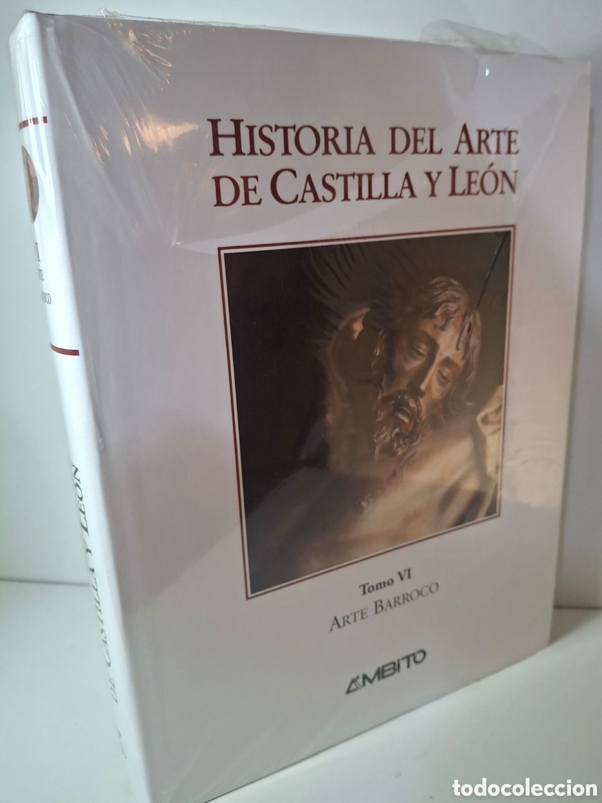 Libros de segunda mano: HISTORIA DEL ARTE DE CASTILLA Y LEON, TOMO VI, ARTE BARROCO, AMBITO, 1994