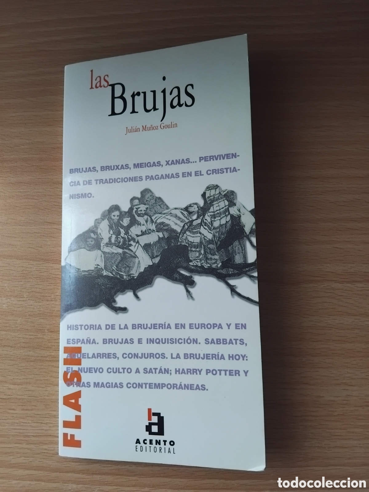 Libros de segunda mano: Las brujas;Juli&aacute;n Mu&ntilde;oz Goulin;Acento;2002