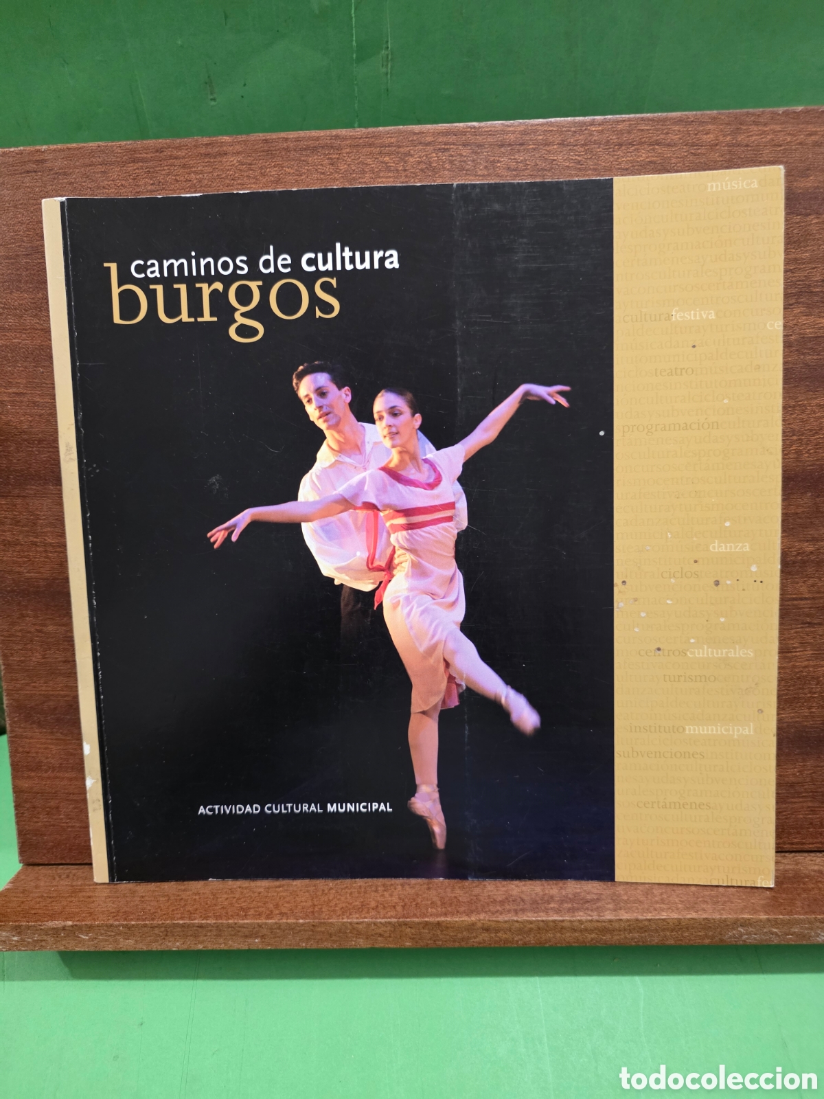 Libros de segunda mano: &rdquo;&rdquo;CAMINOS DE CULTURA, BURGOS&rdquo;&rdquo;...ACTIVIDAD CULTURAL MUNICIPAL...2008...