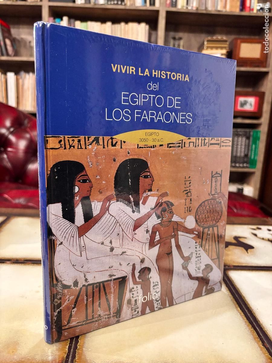 Libros de segunda mano: Vivir la historia del Egipto de los faraones. NUEVO