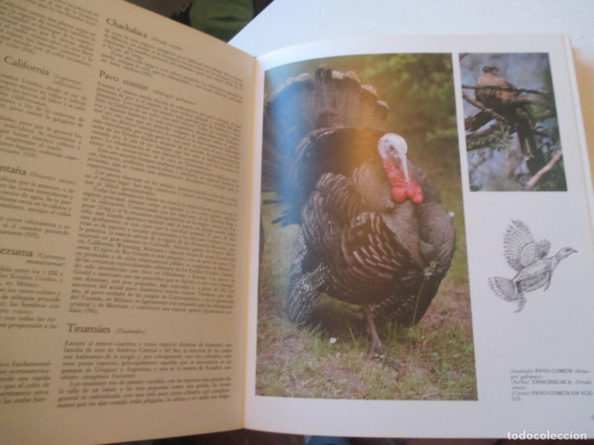 Libros de segunda mano: El gran libro de la caza W42306 - Foto 4