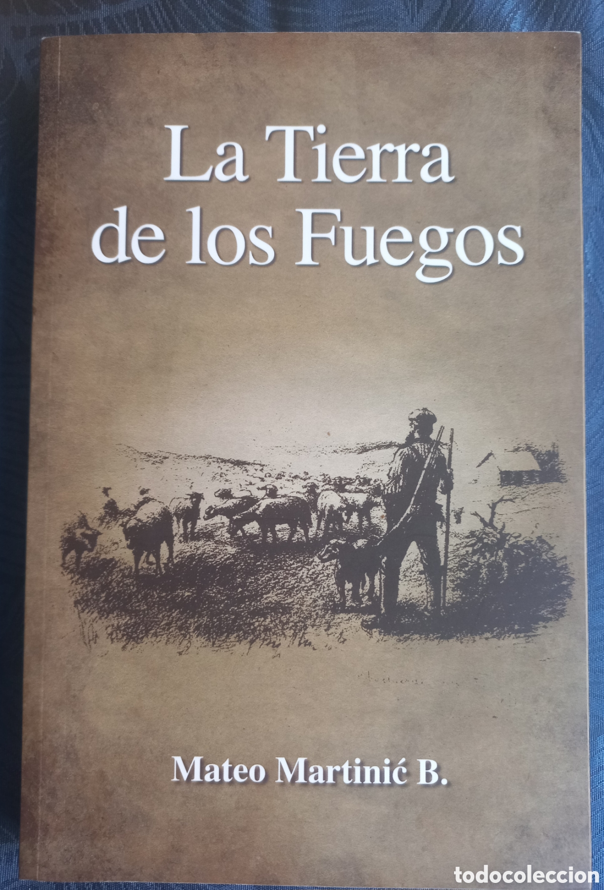Libros de segunda mano: La Tierra de los Fuegos &mdash; Mateo Martinic B.