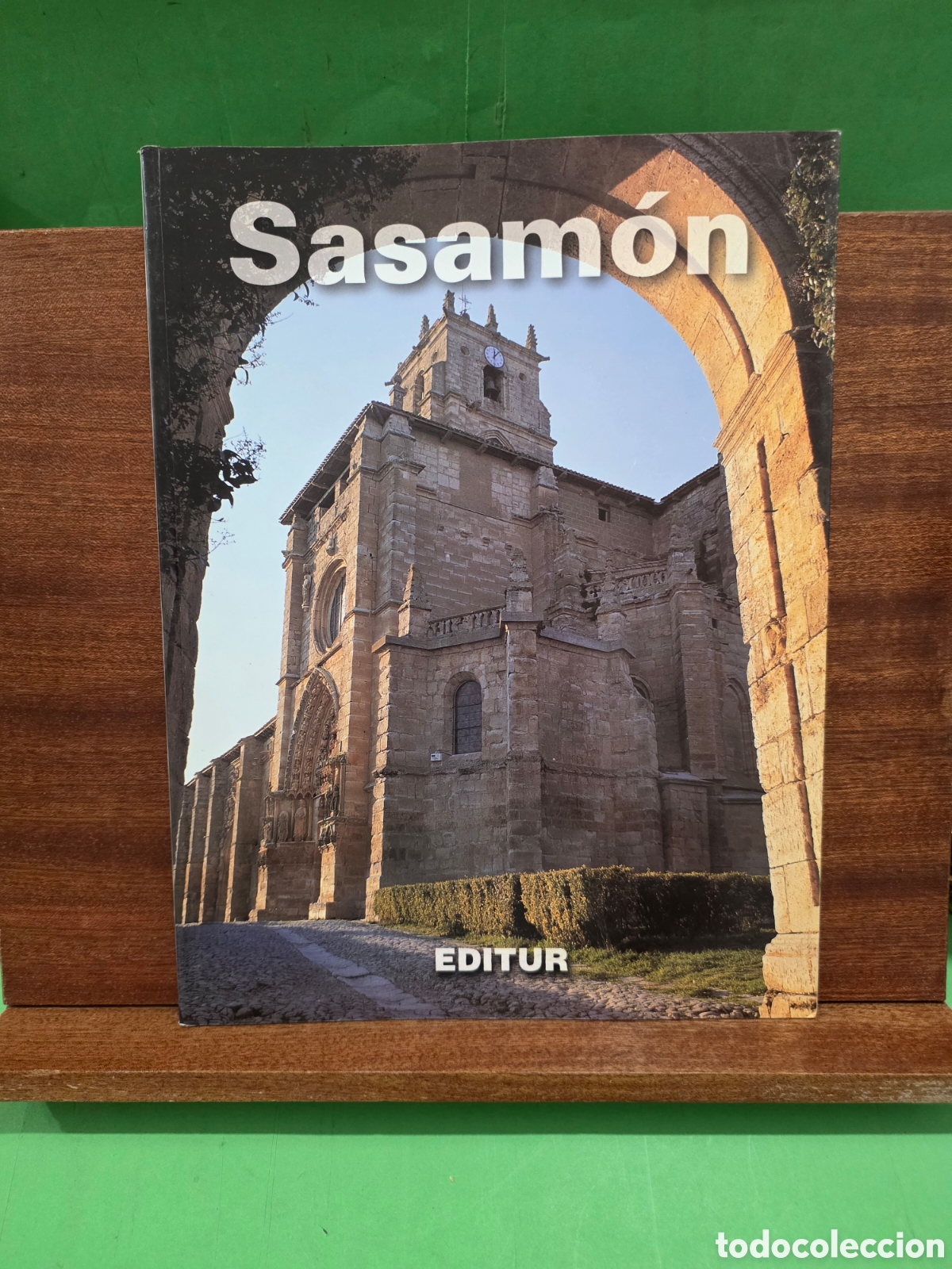 Libros de segunda mano: &rdquo;&rdquo;SASAM&Oacute;N&rdquo;&rdquo;...( BURGOS )...JUAN RUIZ CARCEDO...EDITUR...1997...