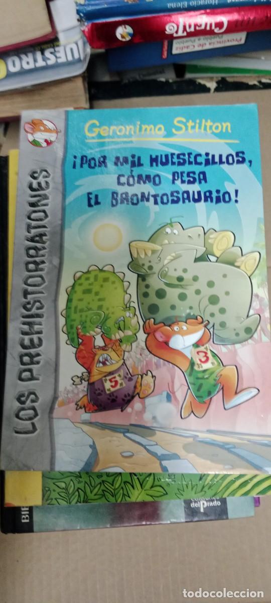 Libros de segunda mano: POR MIL HUSECILLOS, COMO PESA EL BRONCOSAURIO. GERONIMO STILTON. LIBRO GG-OT