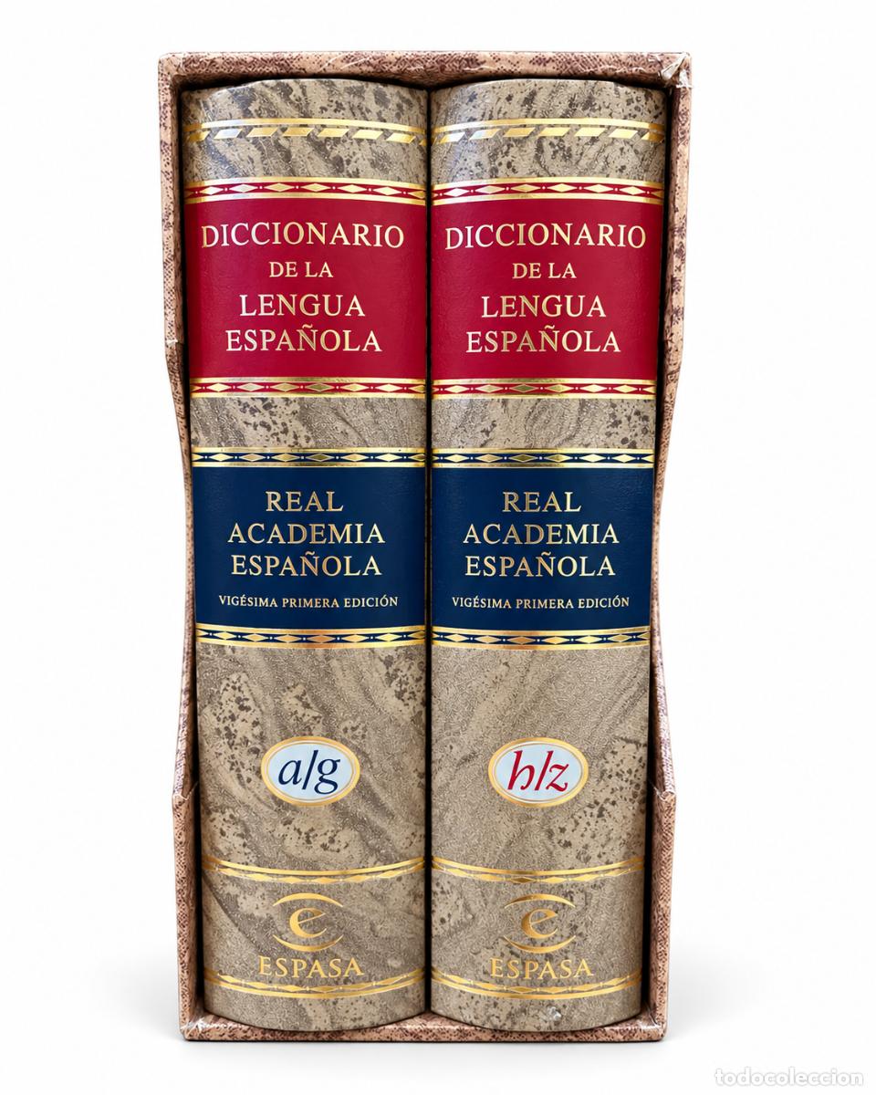 Libros de segunda mano: REAL ACADEMIA ESPA&Ntilde;OLA &ndash; DICCIONARIO DE LA LENGUA ESPA&Ntilde;OLA &ndash; ESPASA-CALPE &ndash; 1992 &ndash; 2 TOMOS