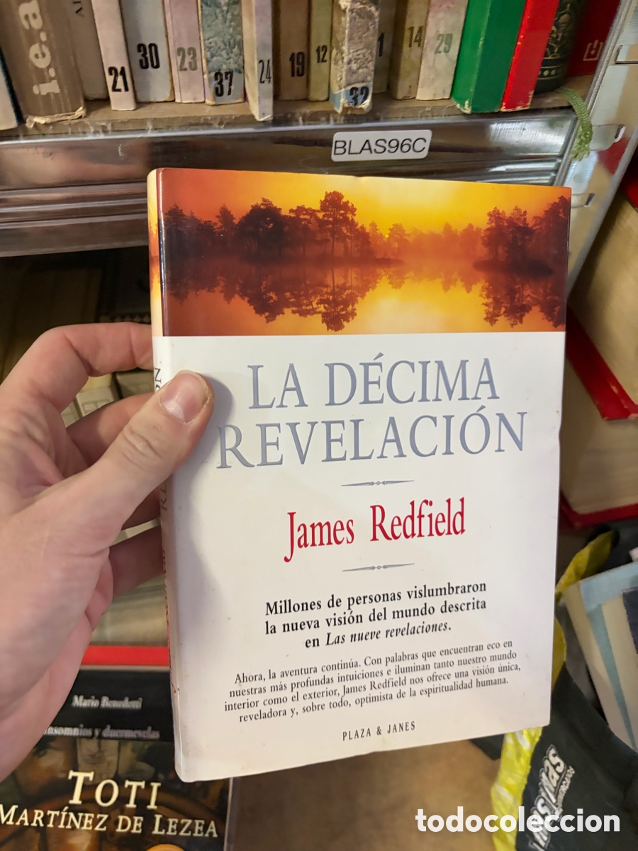 Libros de segunda mano: BLAS96C Mario Ronadoni LA D&Eacute;CIMA REVELACI&Oacute;N James Redfield