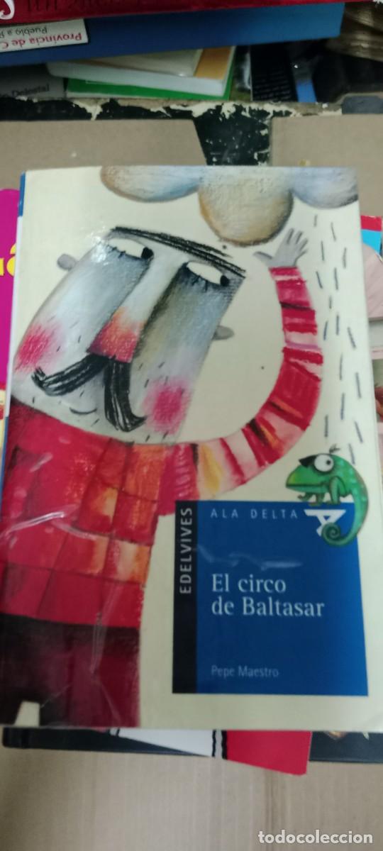 Libros de segunda mano: EL CIRCO DE BALTAZAR PEPE MAESTRO LIBRO GG-BIZ