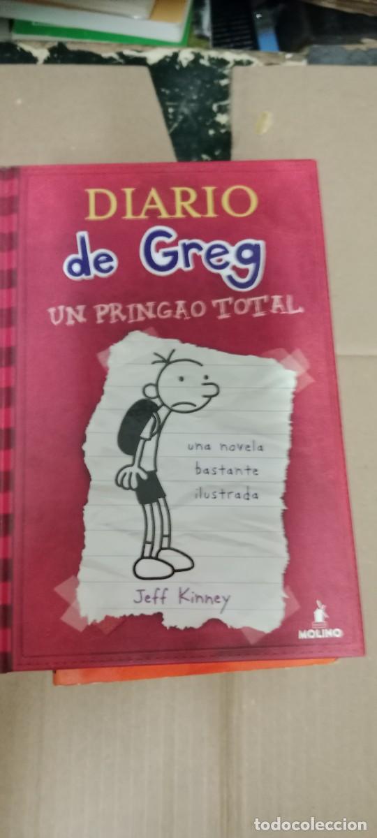 Libros de segunda mano: DIARIO DE GREG UN PRINGAO TOTAL LIBRO GG-BIZ