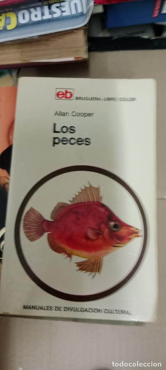 Libros de segunda mano: LOS PECES ALIAN COOPER LIBRO GG-BIZ - Foto 1