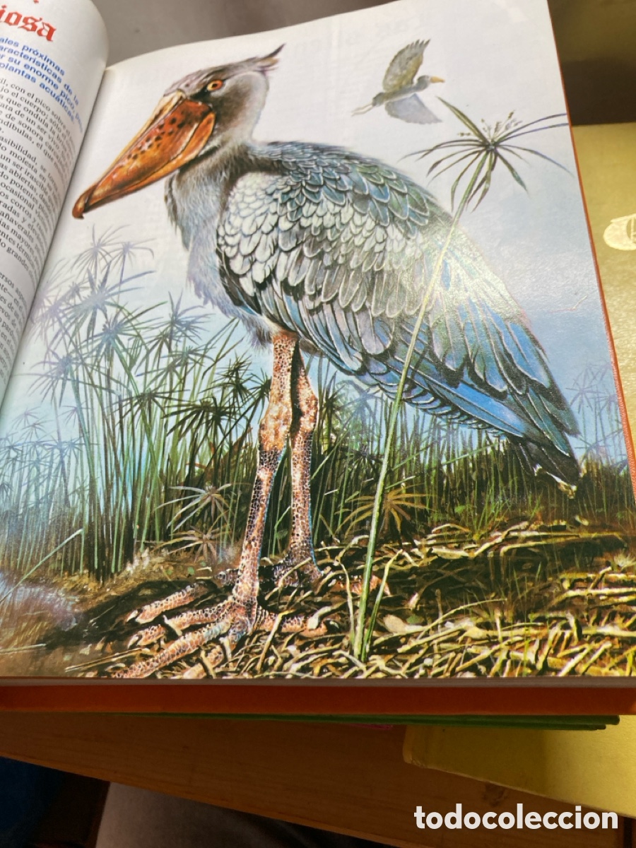 Libros de segunda mano: El libro Gordo de Petete 5 tomos - Foto 4