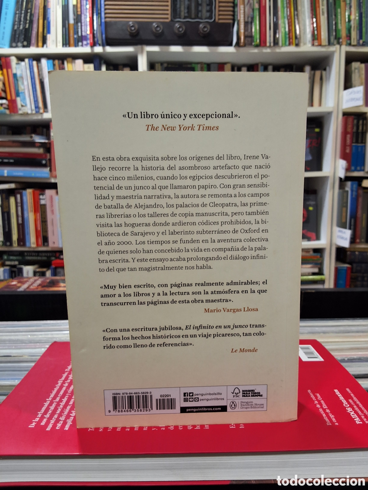 Libros de segunda mano: EL INFINITO EN UN JUNCO - IRENE VALLEJO - ENV&Iacute;O DESDE 1,50 &euro; - Foto 2