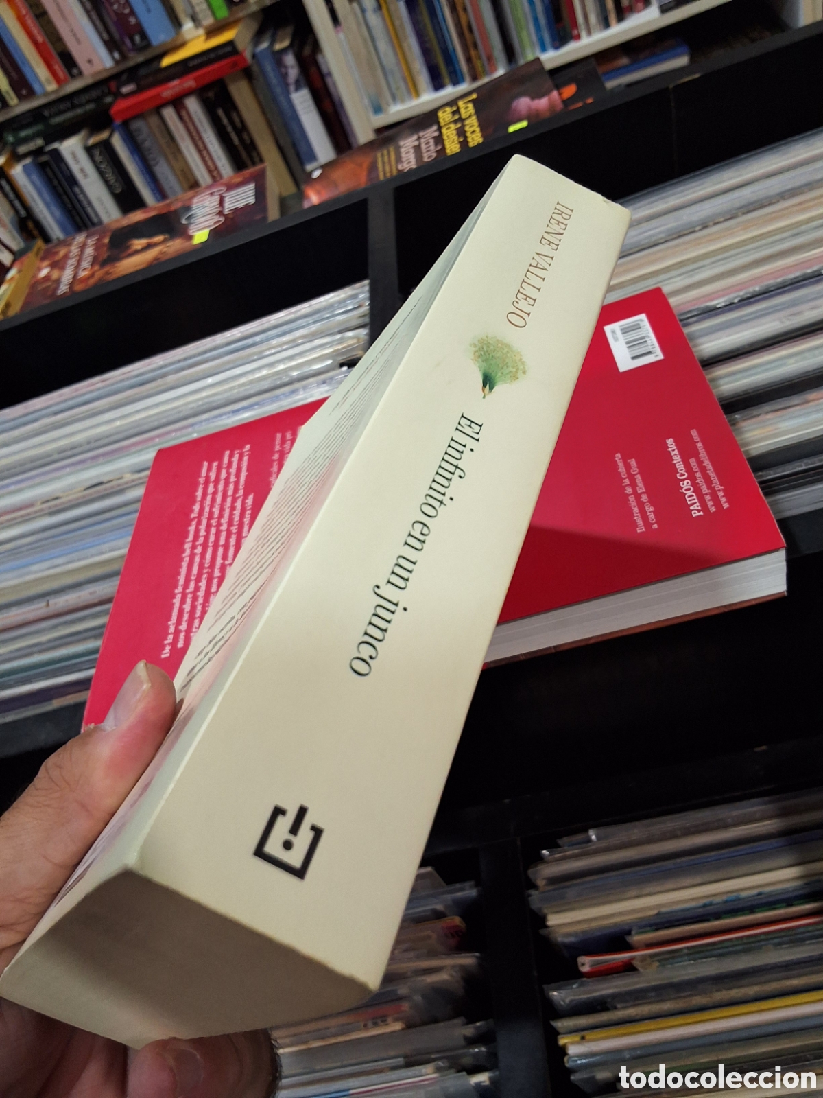 Libros de segunda mano: EL INFINITO EN UN JUNCO - IRENE VALLEJO - ENV&Iacute;O DESDE 1,50 &euro; - Foto 3
