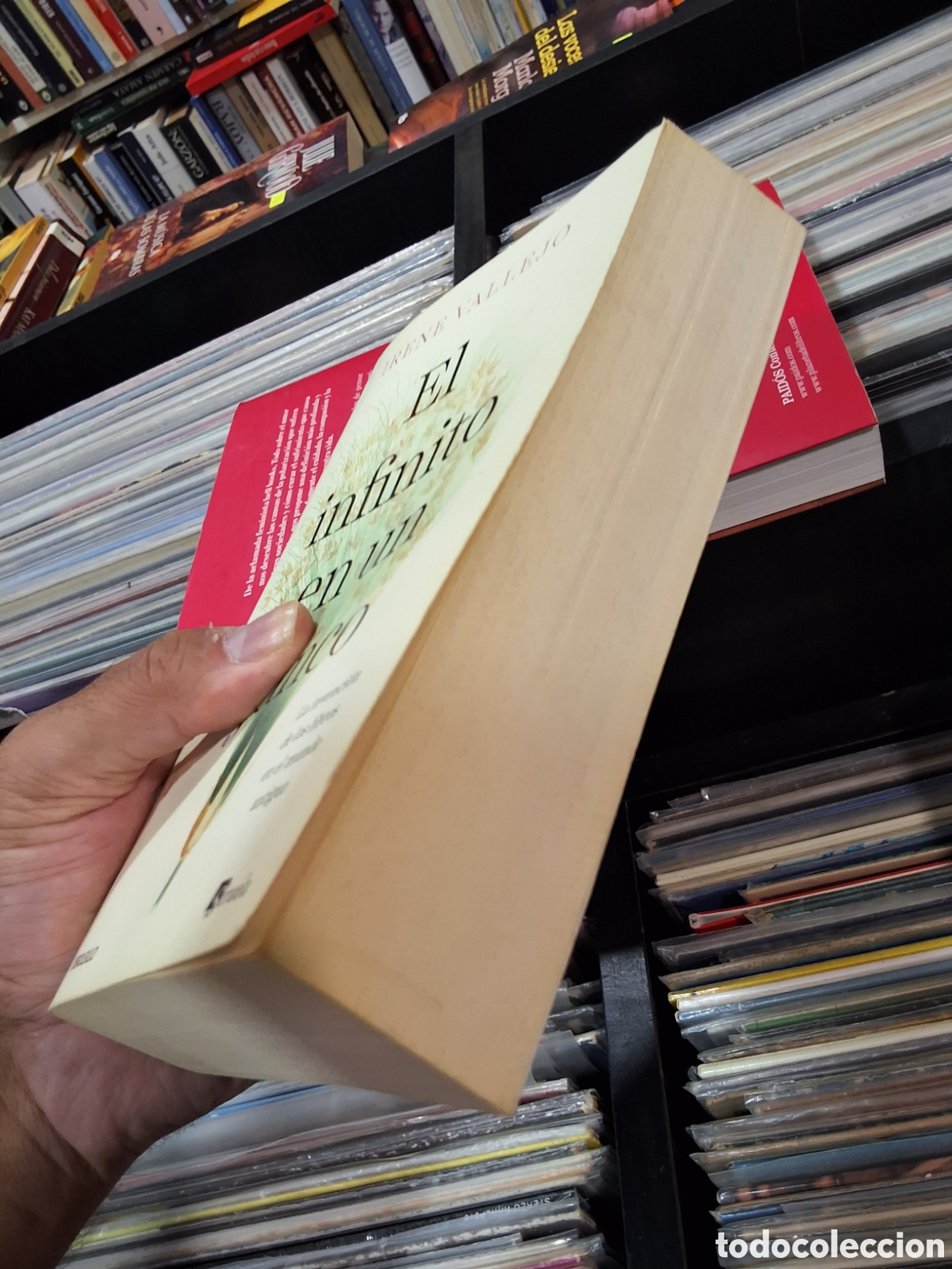 Libros de segunda mano: EL INFINITO EN UN JUNCO - IRENE VALLEJO - ENV&Iacute;O DESDE 1,50 &euro; - Foto 4