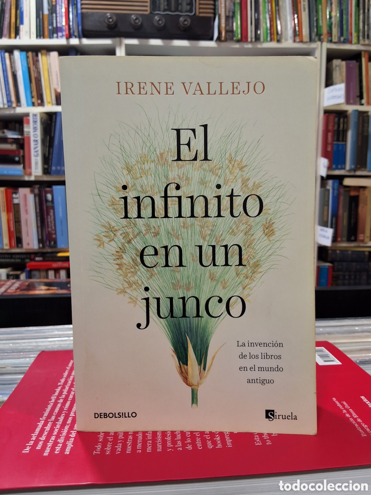 Libros de segunda mano: EL INFINITO EN UN JUNCO - IRENE VALLEJO - ENV&Iacute;O DESDE 1,50 &euro; - Foto 1