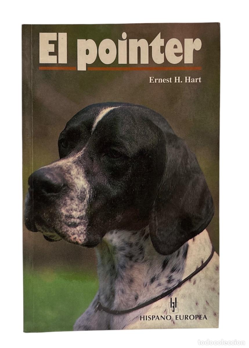 Libros de segunda mano: POINTER, EL, EL MEJOR LIBRO SOBRE ESTA RAZA - Foto 1