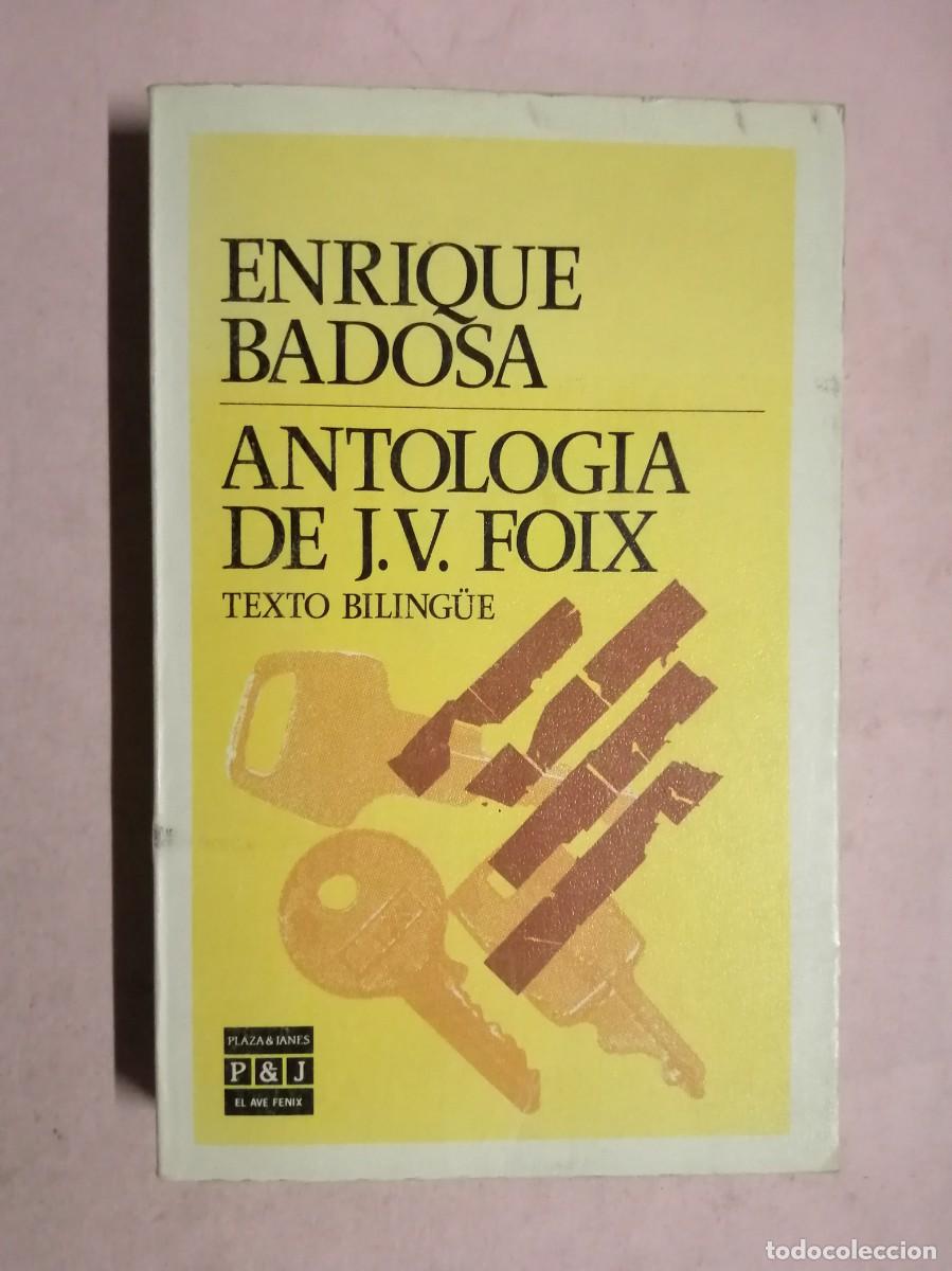 Livres d'occasion: ANTOLOGIA FR J. V. MOLINA FOIX. TEXTO BILING&Uuml;E (ENRIQUE BADOSA)