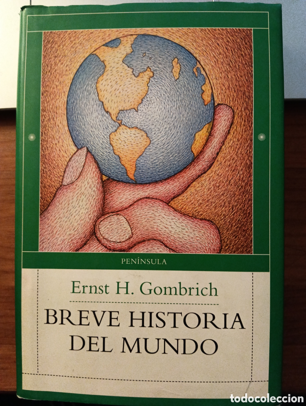 Libros de segunda mano: Breve Historia del mundo, Ernst H. Gombrich