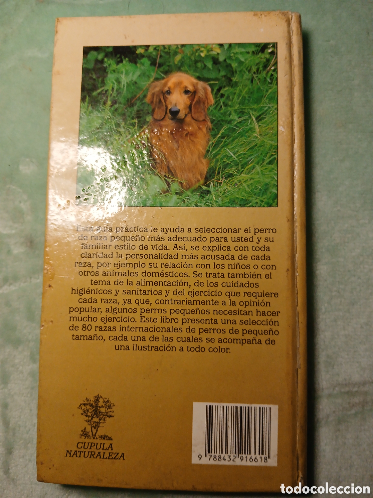 Libros de segunda mano: Razas de perros peque&ntilde;os - Foto 2