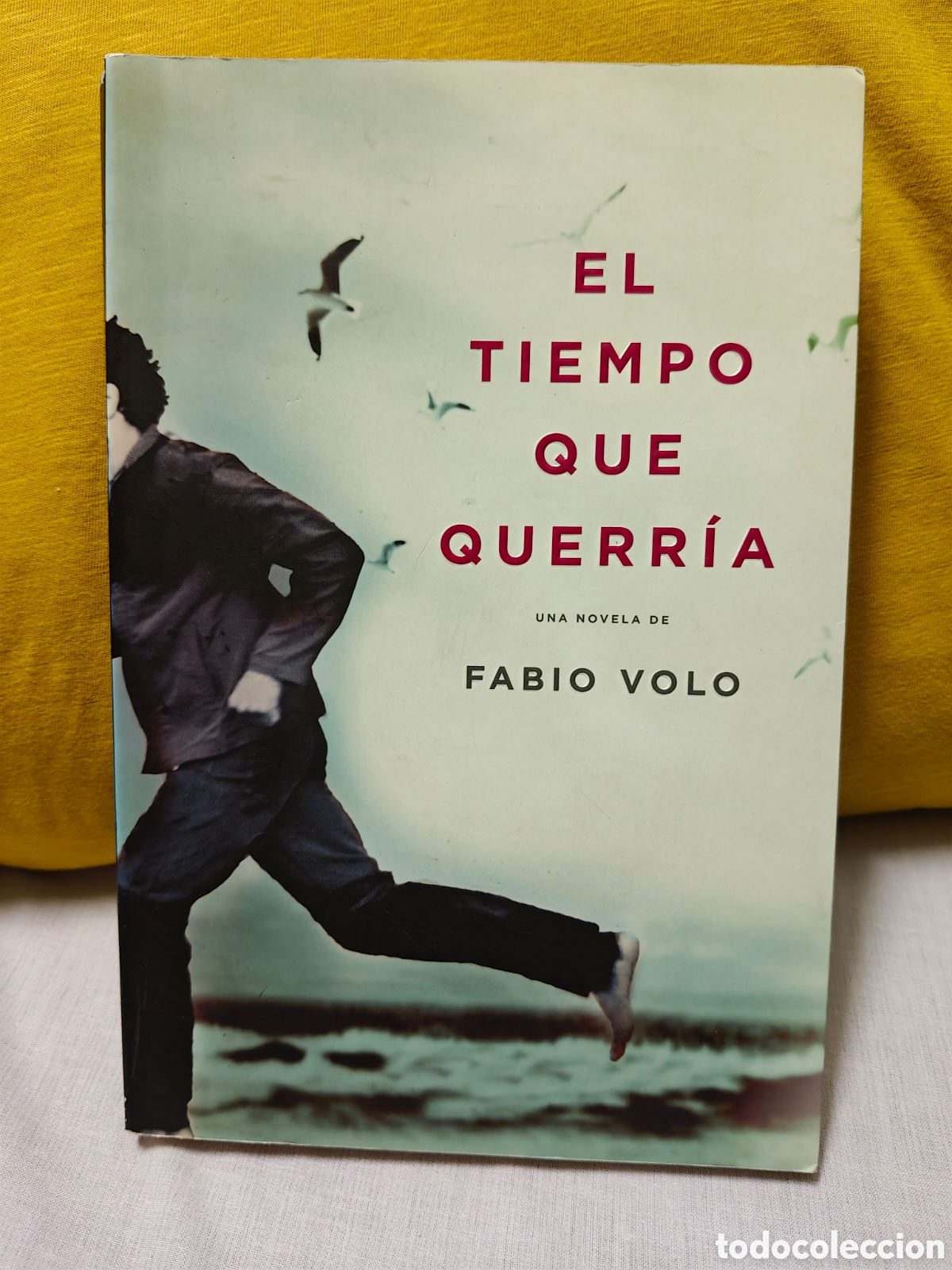 Libros de segunda mano: El tiempo que querr&iacute;a, Fabio Volo