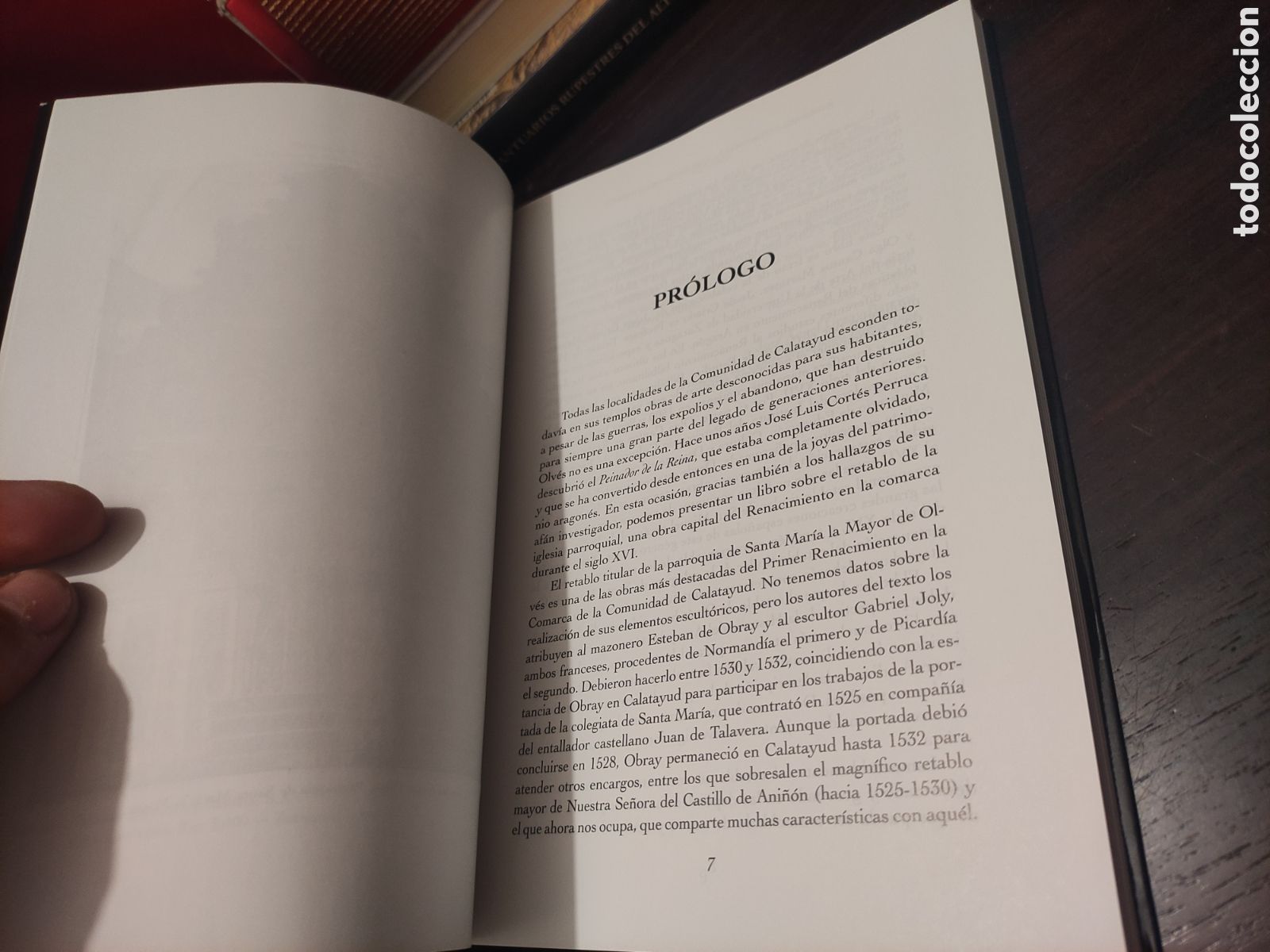 Libros de segunda mano: EL RETABLO MAYOR DE LA SANTA MARIA DE OLVES - LAS CLAVES DEL RENACIMIENTO EN LA COMARCA - Foto 7