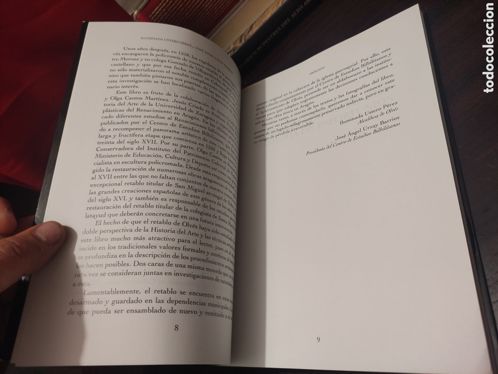 Libros de segunda mano: EL RETABLO MAYOR DE LA SANTA MARIA DE OLVES - LAS CLAVES DEL RENACIMIENTO EN LA COMARCA - Foto 8