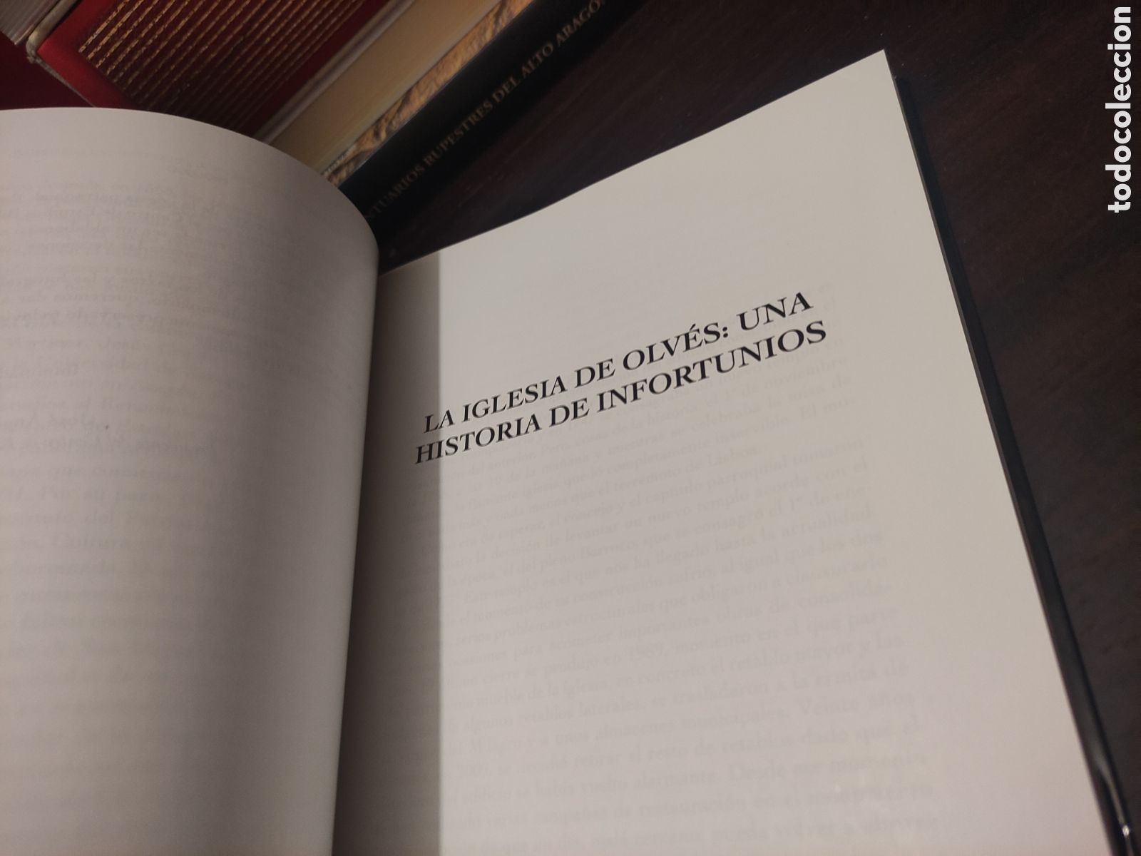 Libros de segunda mano: EL RETABLO MAYOR DE LA SANTA MARIA DE OLVES - LAS CLAVES DEL RENACIMIENTO EN LA COMARCA - Foto 9