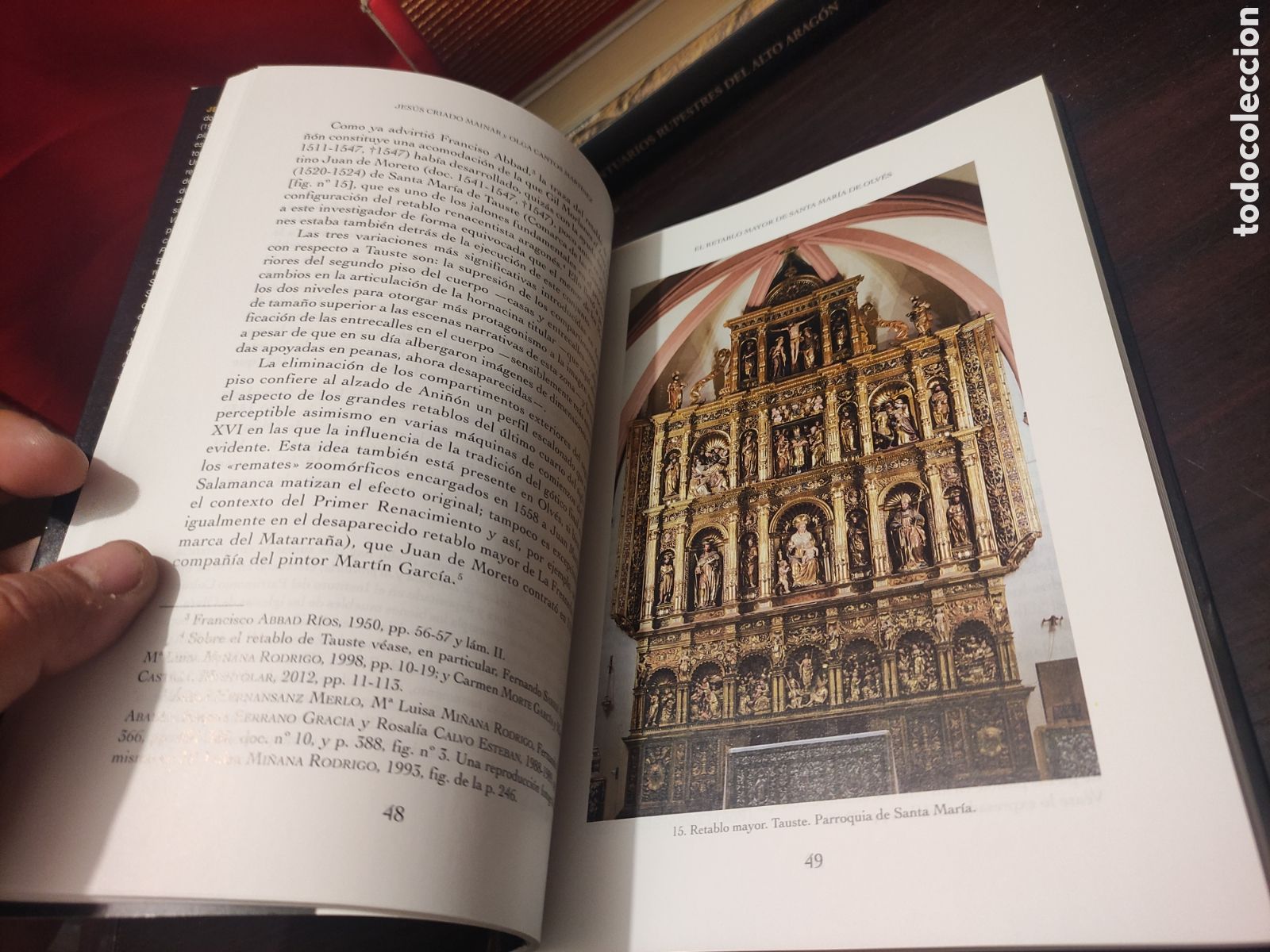 Libros de segunda mano: EL RETABLO MAYOR DE LA SANTA MARIA DE OLVES - LAS CLAVES DEL RENACIMIENTO EN LA COMARCA - Foto 13
