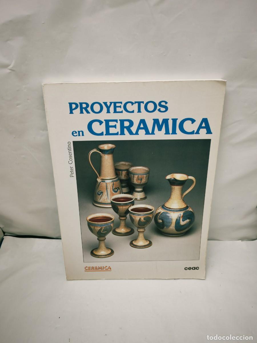 Libros de segunda mano: Peter Cosentino: Proyectos en cer&aacute;mica (Primera edici&oacute;n) - Foto 1