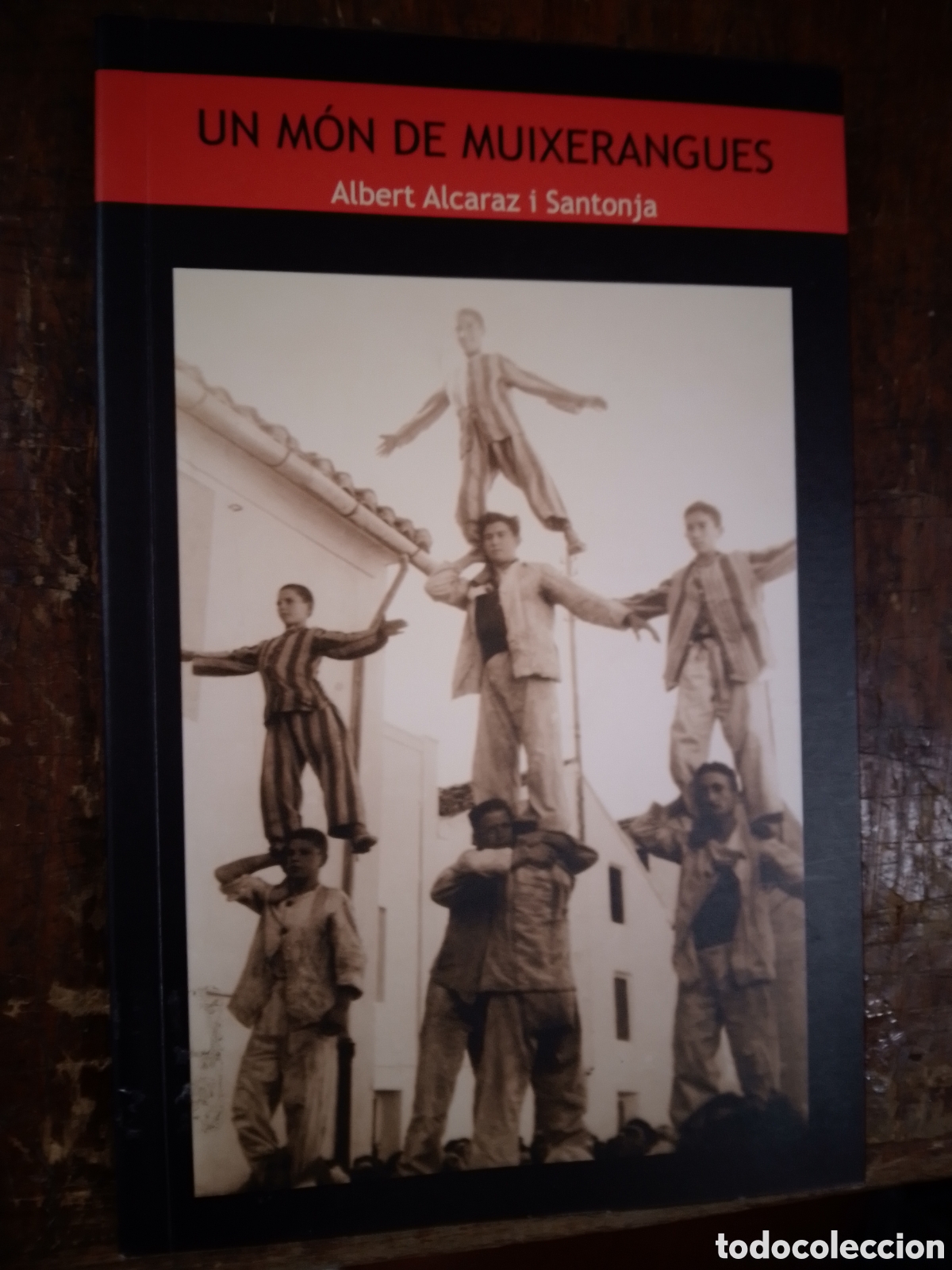 Libros de segunda mano: UN MON DE MUIXERANGUES. ALCARAZ I SANTONJA, ALBERT. CATALAN. AJUNTAMENT D' ALGEMESI. 2004