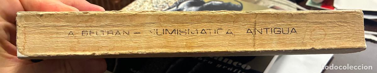Libros de segunda mano: NUMISMATICA ANTIGUA, Antonio Beltran Martinez - Foto 2
