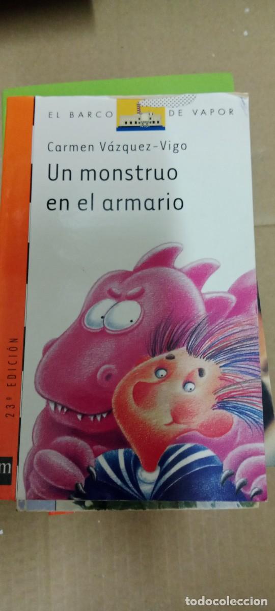 Libros de segunda mano: UN MONSTRUO EN EL ARMARIO CARMEN VAZQUEZ VIGO EL BARCO DE VAPOR LIBRO M-33