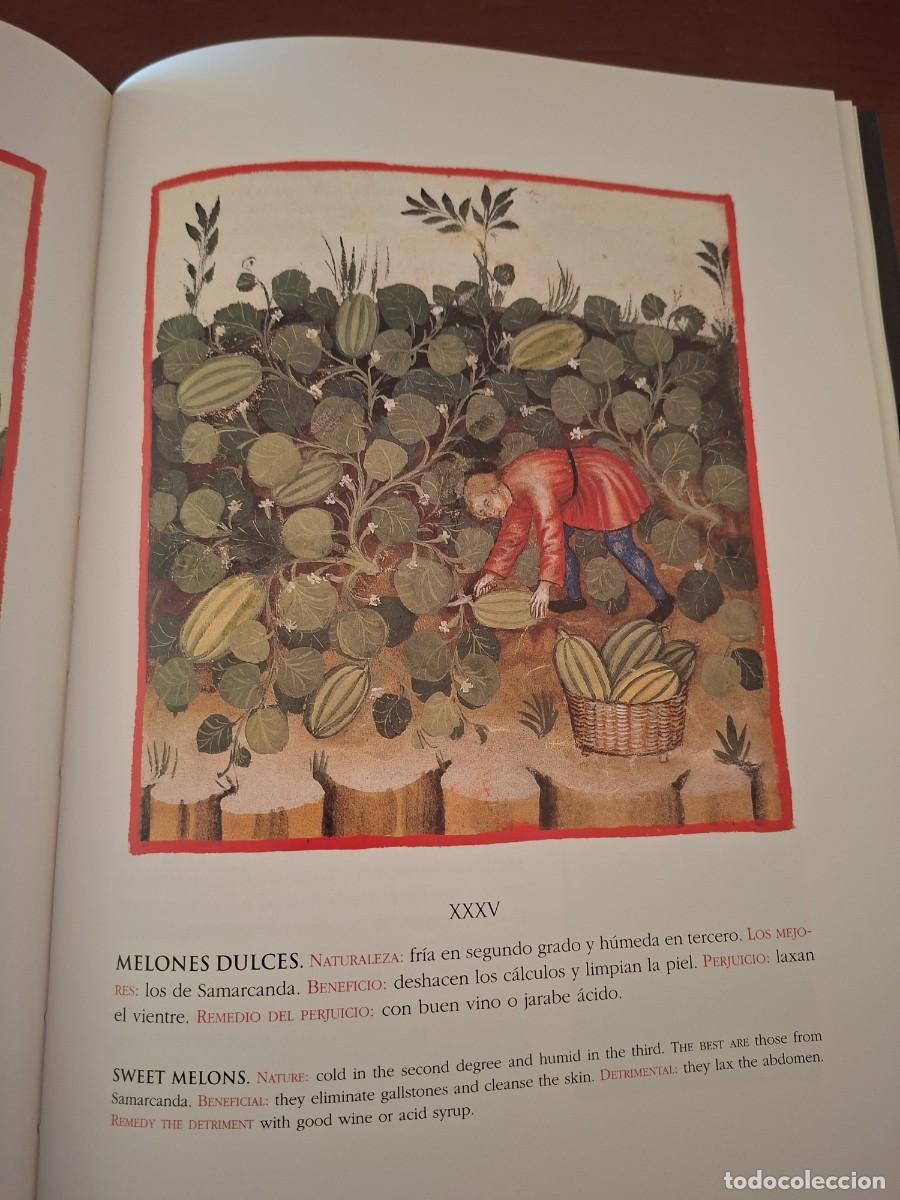 Libros de segunda mano: Theatrum sanitatis. Moleiro - Foto 5