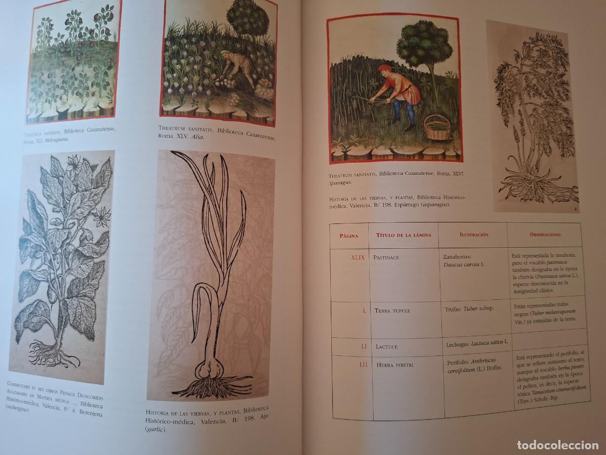 Libros de segunda mano: Theatrum sanitatis. Moleiro - Foto 6
