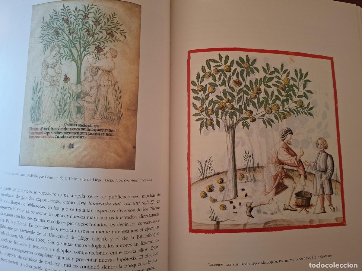 Libros de segunda mano: Theatrum sanitatis. Moleiro - Foto 7